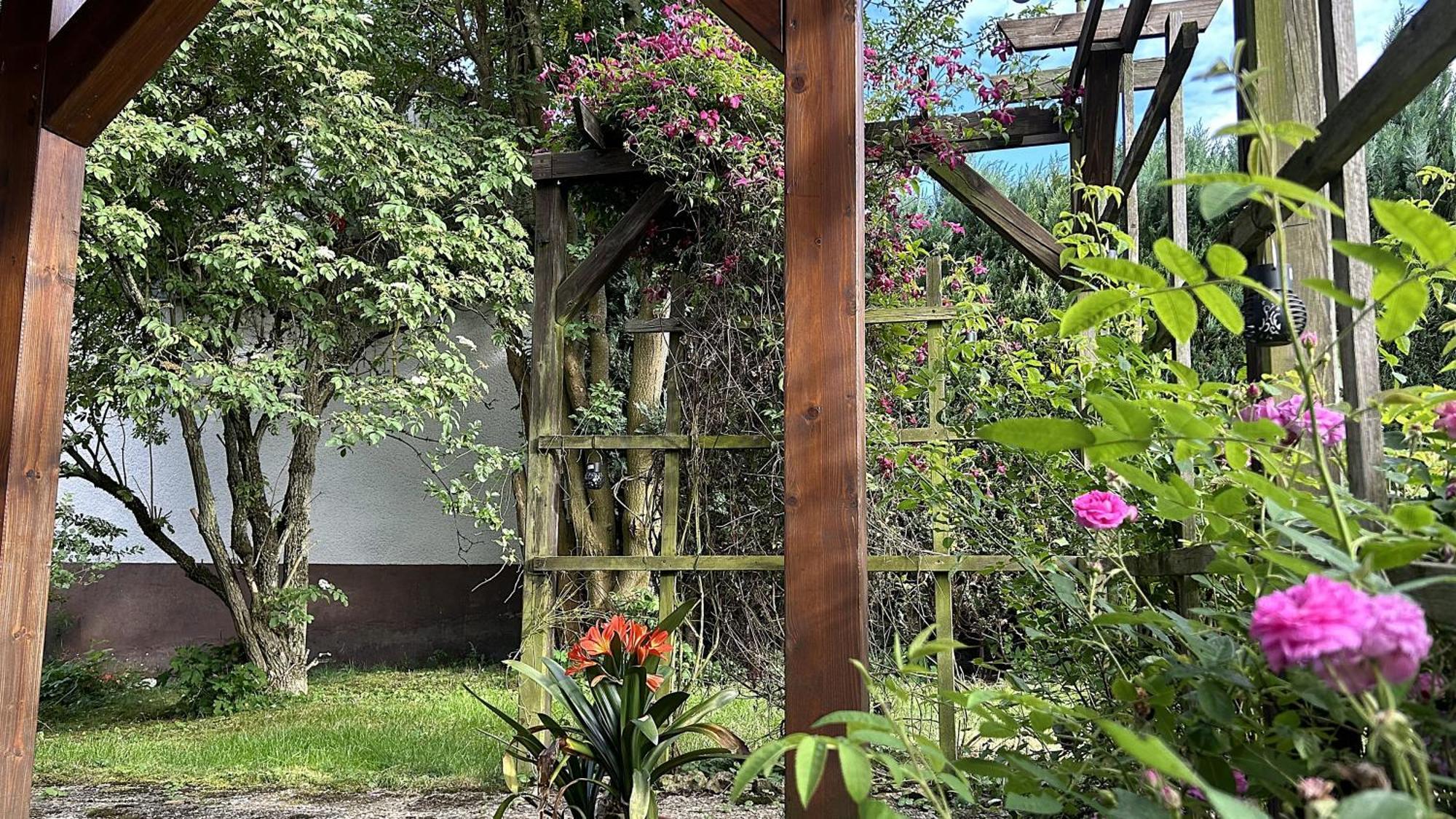 Großzügige Wohnung mit Terrasse und Gartenzugang. Bindlach Exterior foto